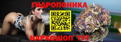 гидра Краснодар
