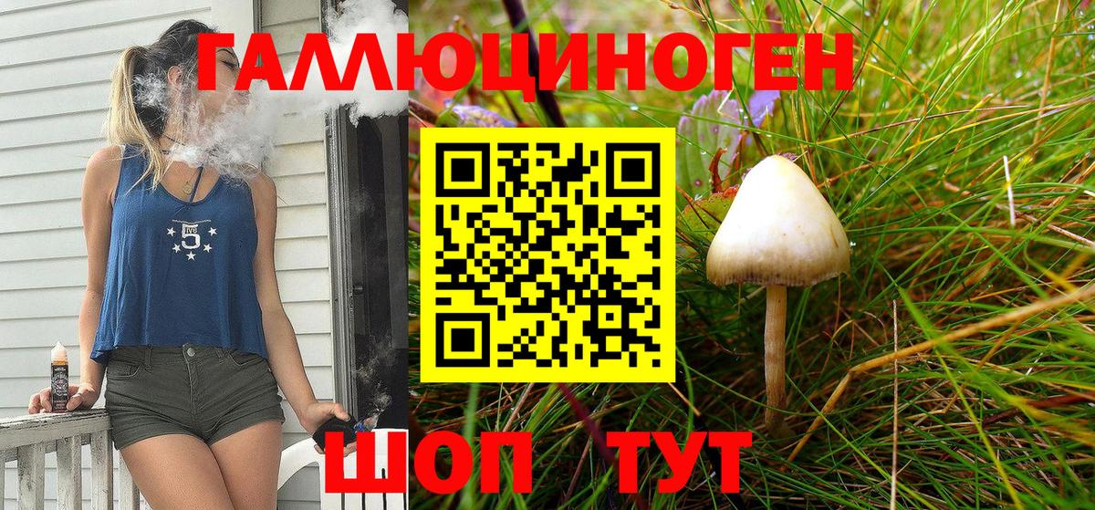 Псилоцибиновые грибы мухоморы Кузнецк